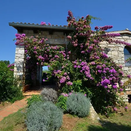 Moncodogno Rovinj